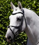 PREMIER EQUINE Glorioso Grackle Başlık Siyah