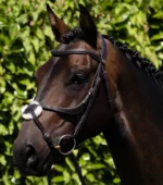 PREMIER EQUINE Glorioso Grackle Başlık Kahverengi