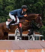 PREMIER EQUINE Pony Kevlar Airtechnology  Tendon Bot - Görsel 2