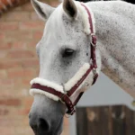 PREMIER EQUINE Techno Yün Astarlı Yular — Vişne