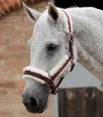 PREMIER EQUINE Techno Yün Astarlı Yular -- Vişne