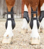 PREMIER EQUINE Pony Kevlar Airtechnology  Tendon Bot - Görsel 5