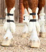 PREMIER EQUINE Techno Yün Tendon Bot L Beden - Görsel 6