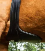 PREMIER EQUINE Anatomik Deri Kolon Kayışı Siyah - Görsel 5