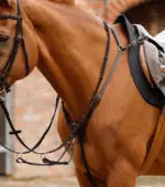 PREMIER EQUINE Norbello Hunter Göğüs Zırhı Kahverengi - Görsel 2