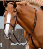 PREMIER EQUINE Ayarlanabilir Koşu Martingale Kahverengi - Görsel 3
