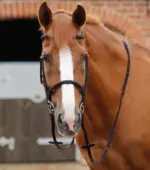 PREMIER EQUINE Altare Dizginleri Kahverengi - Görsel 2