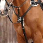 PREMIER EQUINE 5 Nokta Göğüs Zırhı Siyah Full Boy