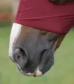 PREMIER EQUINE Comfort Tech Likralı Sinek Maskesi - Görsel 2