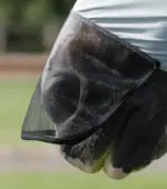 PREMIER EQUINE Comfort Tech Likralı Sinek Maskesi Xtra Gri - Görsel 2