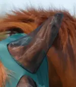 PREMIER EQUINE Comfort Tech Likralı Sinek Maskesi Xtra Yeşil - Görsel 3