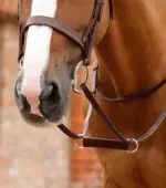 PREMIER EQUINE Esperia İrlanda Martingal - Görsel 2