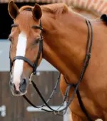 PREMIER EQUINE Ayarlanabilir Koşu Martingale Siyah - Görsel 3