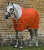 PREMIER EQUINE Atlas At Soğutucu Örtüsü -- Turuncu