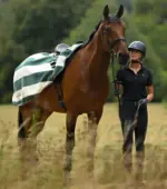 PREMIER EQUINE Vellus Egzersiz Blanketi -- Yeşil/Beyaz -- XL Beden - Görsel 6
