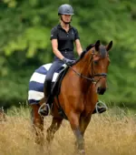 PREMIER EQUINE Vellus Egzersiz Blanketi -- Lacivert/Beyaz -- XL Beden - Görsel 6