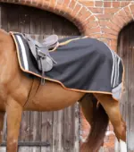 PREMIER EQUINE Stratus Egzersiz Blanketi -- Siyah -- XL Beden - Görsel 2