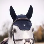 SAMSHIELD FLYSHIELD SWAROVSKI Full Boy -- Mavi - Görsel 3
