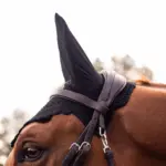 SAMSHIELD FLYSHIELD SWAROVSKI Full Boy -- Siyah - Görsel 3