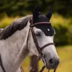 SAMSHIELD FLYSHIELD Örgü Siyah Full Boy