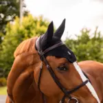 SAMSHIELD FLYSHIELD SWAROVSKI Full Boy -- Siyah - Görsel 5