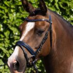 PREMIER EQUINE Mineo Pony Başlık Siyah