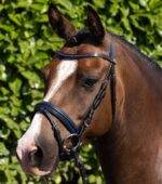 PREMIER EQUINE Mineo Pony Başlık Siyah